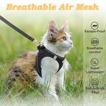 SALFSE Cat Harness and Leash for Walking Escape Proof, Adjustable Kitten Vest Harness Reflective Soft Mesh Puppy Harness for Outdoor, Comfort Fit, Easy to Control (Black, XS)