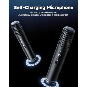 Ikarao Karaoke Machine with Bluetooth & 2 Microphones