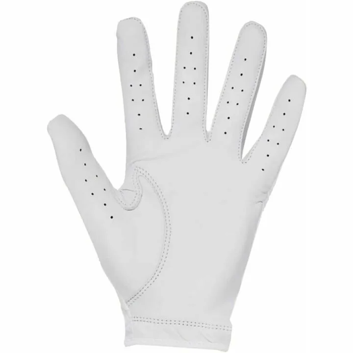 Under Armour Iso-Chill Golf Gloves for Men