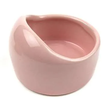 Quality Ceramic Food and Water Bowls for Small Pets
