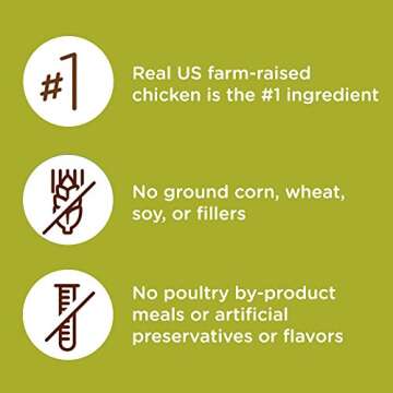 Rachael Ray Nutrish Premium Natural Dry Cat Food, Real Chicken & Brown Rice Recipe, 14 Pounds (Packaging May Vary)