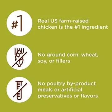 Rachael Ray Nutrish Premium Natural Dry Cat Food, Real Chicken & Brown Rice Recipe, 14 Pounds (Packaging May Vary)