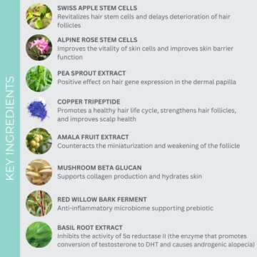 EVOLVh - Better Roots RootBoost Serum For Natural Scalp Wellness + Hair Regrowth | Vegan, Non-Toxic, Clean Hair Care (1 fl oz | 30 ml)