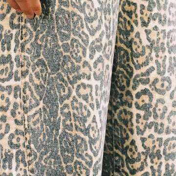 CUTEGAL Leopard Jeans Y2k Aesthetic Baggy Cargo Pants High Waisted Cheetah Print Jeans for Women (C,Small,Small)
