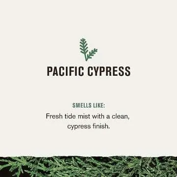 Every Man Jack Pacific Cypress Grooming Gift Set