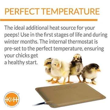 K&H Chicken Heated Pad - Safety Listed Comfort for Flock