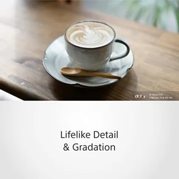 Sony FE 50mm F1.8 Lens for Stunning Portraits