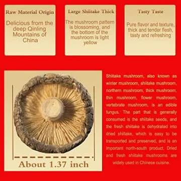 Dried Shiitake Mushrooms 16 Oz (500g) Rehydrate Quickly,Soft Texture, Black Mushrooms 1 LB, Shiitake Mushroom, Fresh Dried Shiitake Mushroom, Fresh Tasting Mushroom Snack (Holiday Gifts)