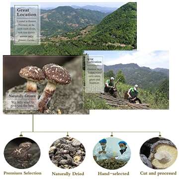 Dried Shiitake Mushrooms 16 Oz (500g) Rehydrate Quickly,Soft Texture, Black Mushrooms 1 LB, Shiitake Mushroom, Fresh Dried Shiitake Mushroom, Fresh Tasting Mushroom Snack (Holiday Gifts)