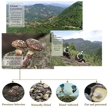 Dried Shiitake Mushrooms 16 Oz (500g) Rehydrate Quickly,Soft Texture, Black Mushrooms 1 LB, Shiitake Mushroom, Fresh Dried Shiitake Mushroom, Fresh Tasting Mushroom Snack (Holiday Gifts)