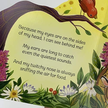 A Little Bunny Children's Animal Shaped Board Book