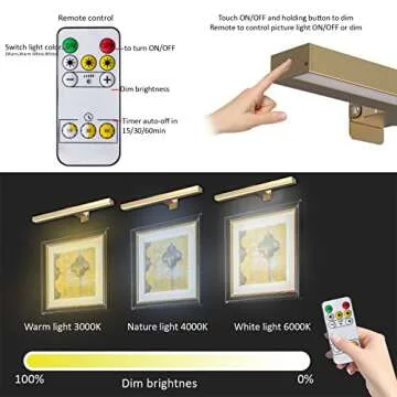 MIOBLUE Wireless Picture Lights - Rechargeable with Remote