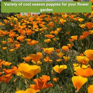Sow Right Poppy Seeds Collection - Grow Colorful Flowers