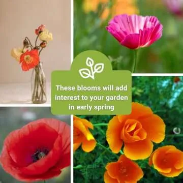 Sow Right Poppy Seeds Collection - Grow Colorful Flowers