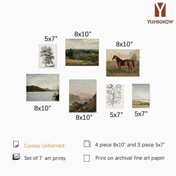 Rustic French Country Wall Art Decor - Boho Art Deco Victoria Picture Bathroom - Modern Farmhouse Ki...