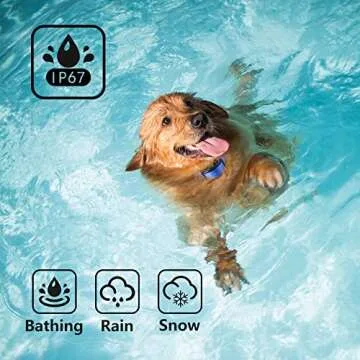 PaiPaitek No Shock Dog Training Collar with Remote 16400ft Range, Dog Vibration Collar with Controller Waterproof & Rechargeable, Vibration Collar for Deaf Small Dogs - No Prongs and No Shock