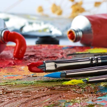 Transon 12-Piece Artist Paint Brush Set for All Mediums