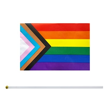 Colorful 50 Pack Progress Rainbow Pride Flags for Events