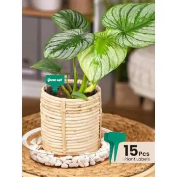 GROWNEER 15 Pack of 6, 8, 10 Inches Clear Plant Saucers Flower Pot Trays, with 15 Pcs Plant Labels, Plastic Plant Drip Trays for Indoor Outdoor Plants Garden, 5pcs of Each Size