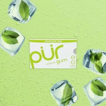 PUR Gum COOLMINT | Sugar-Free Chewing Gum - Pack of 12