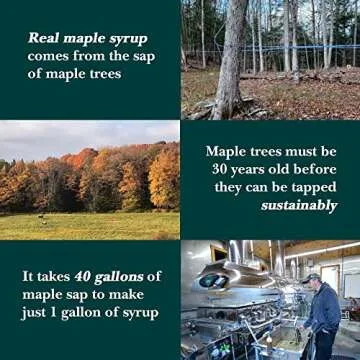 Organic Vermont Maple Syrup - Grade A Amber Delight