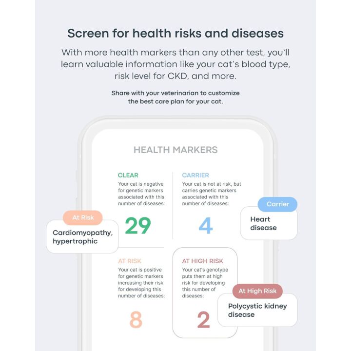 Basepaws Cat DNA Test Kit for Breed & Health Insights
