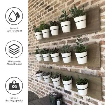 Neiteli 6 Pack Wall Plant Holder for Indoor & Outdoor Use