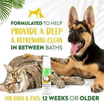 TropiClean Hypoallergenic Waterless Dog Shampoo | Dry Shampoo for Dogs With Sensitive Skin | Natural Dog Shampoo Derived from Natural Ingredients | Cat Friendly | Made in the USA | 7.4 oz