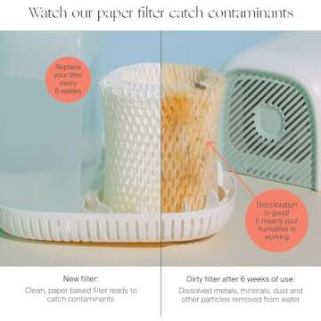 Canopy Bedside Humidifier Replacement Filters - 3-Pack