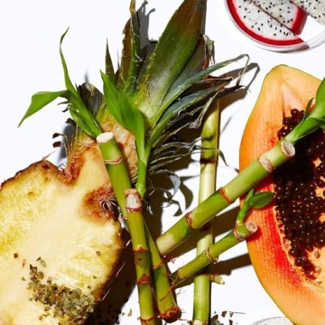 Youth To The People Yerba Mate Exfoliating Facial for Instant Glow