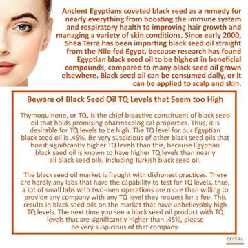 Shea Terra Egyptian Black Seed Cold Pressed Extra Virgin Oil | All Natural & Organic Oil to Boost Immune System, Improve Hair Growth & Skin Tone, Manage Dry Skin, & More - 8 oz