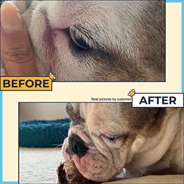 Wrinkle Paste for Bulldogs + Wrinkle Wipes French Bulldog- Wrinkle Cream for Dogs (Frenchie, English Bulldog, Pug)-Cleans Rashes,Tail Pockets- English Bulldog Harness Cream w | Dog Face Wipes |