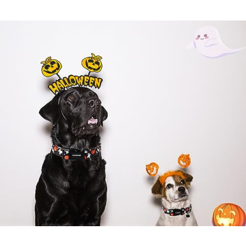 DOGWONG Cotton Dog Collar for Pets in Halloween Designs