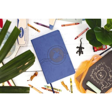 An Engaging Kids Bible Experience for Young Readers