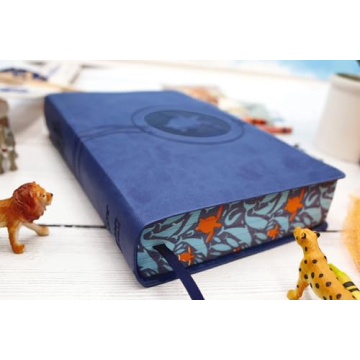 An Engaging Kids Bible Experience for Young Readers