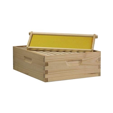 Amish Crafted 10-Frame Beehive Kit for Healthy Honey Production