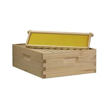 Amish Crafted 10-Frame Beehive Kit for Healthy Honey Production