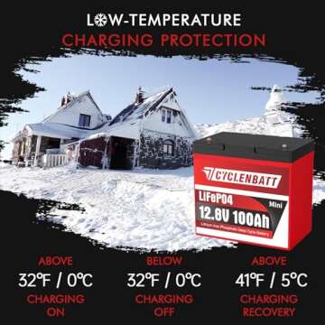CYCLENBATT Mini LiFePO4 Lithium Battery 12V 100Ah