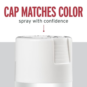 Rust-Oleum Stops Rust Spray Paint - Multi-Surface Solution