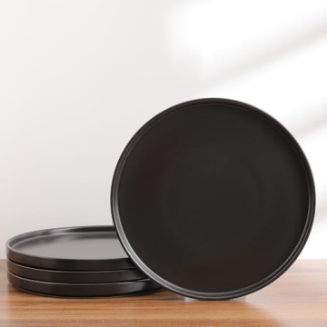 Stone Lain Stoneware Round Dinner Plates 4-Piece Set