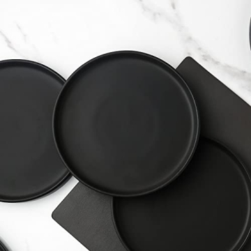 Stone Lain Stoneware Round Dinner Plates 4-Piece Set