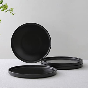 Stone Lain Stoneware Round Dinner Plates 4-Piece Set