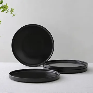 Stone Lain Stoneware Round Dinner Plates 4-Piece Set