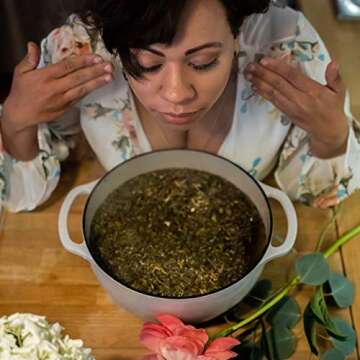 Botanical Facial Steam | 4 Steams | Organic Skin Care | All Skin Types | Cleanse, Hydrate, Tone | USDA Organic Herbs | Wildflower Wellness