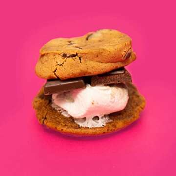 Rule Breakers Vegan Gluten Free Chocolate Chip Blondie Snacks