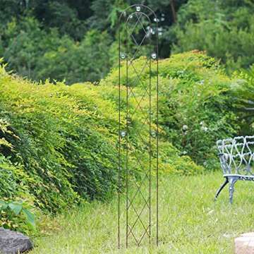 Arcadia Garden Products TR03 Arched Garden Trellis 6' x 10", Black