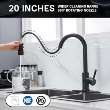 Stylish WEWE Black Kitchen Faucet with Pull Down Sprayer