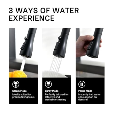 Stylish WEWE Black Kitchen Faucet with Pull Down Sprayer