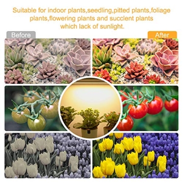 Full Spectrum LED Grow Light Strips with Auto Timer