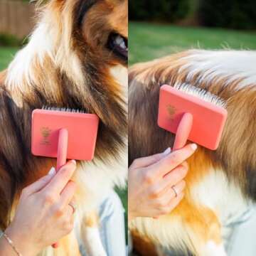 Flying Pawfect Dog Slicker Brush for Grooming Pet Hair - Best Brushes For Poodle & Golden Doodle - Long Haired Brush For Dogs - Goldendoodle Long Pin Brush For Dematting (Large)